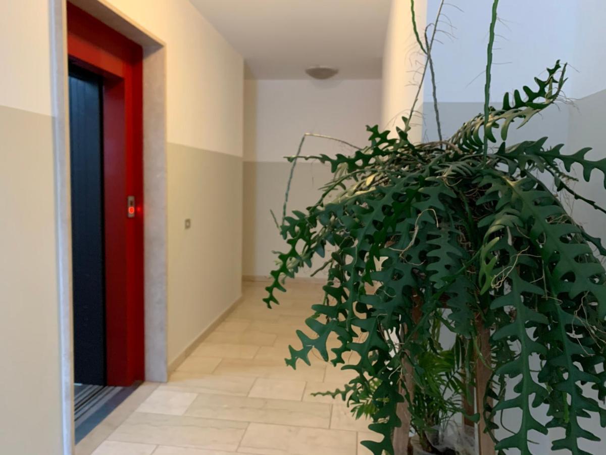 B&B Verona Business And Fun G B Rossi Friendly Buitenkant foto